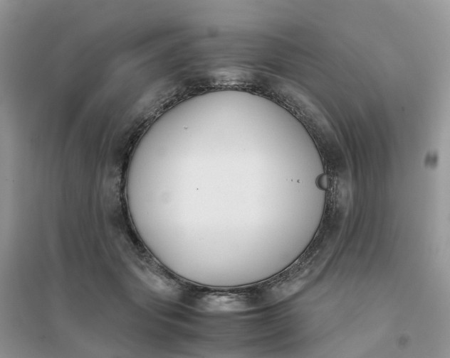 X0000096160557200802011258