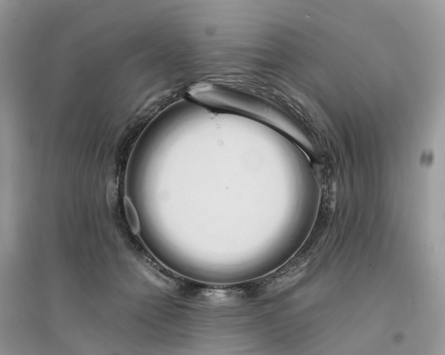 X0000096160558200802011258