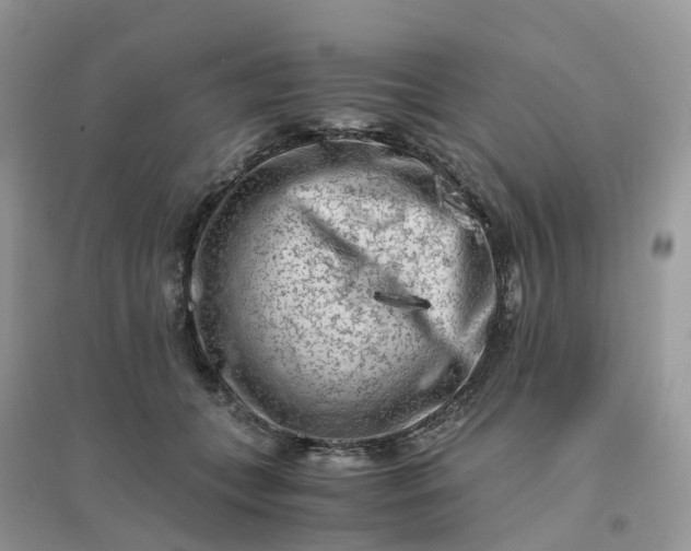 X0000096160559200802011258