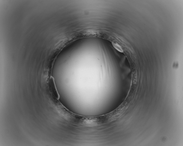 X0000096160560200802011258