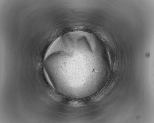 X0000096160561200802011258