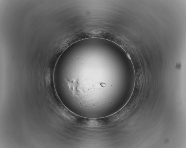 X0000096160562200802011258