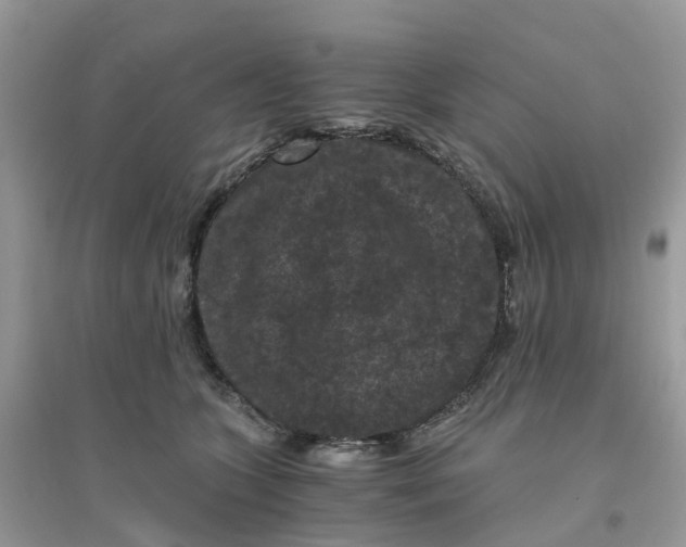 X0000096160563200802011258