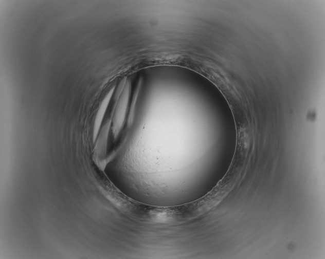 X0000096160564200802011258