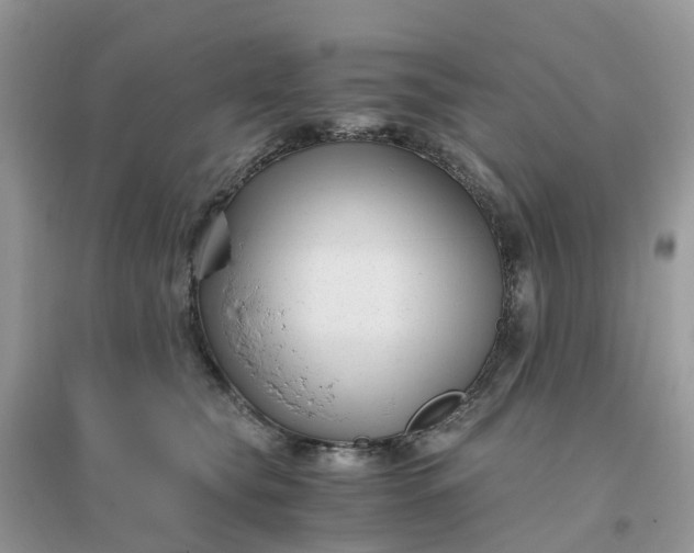 X0000096160565200802011258