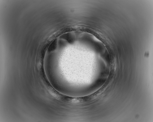 X0000096160566200802011258