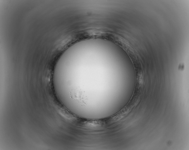 X0000096160567200802011258