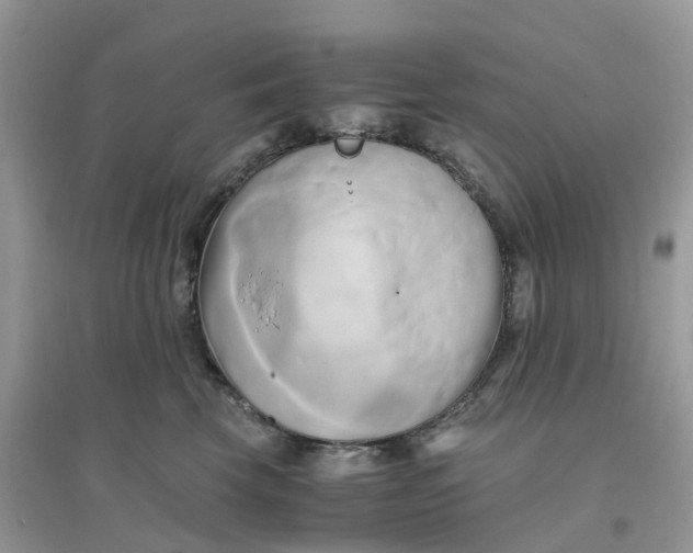 X0000096160569200802011258