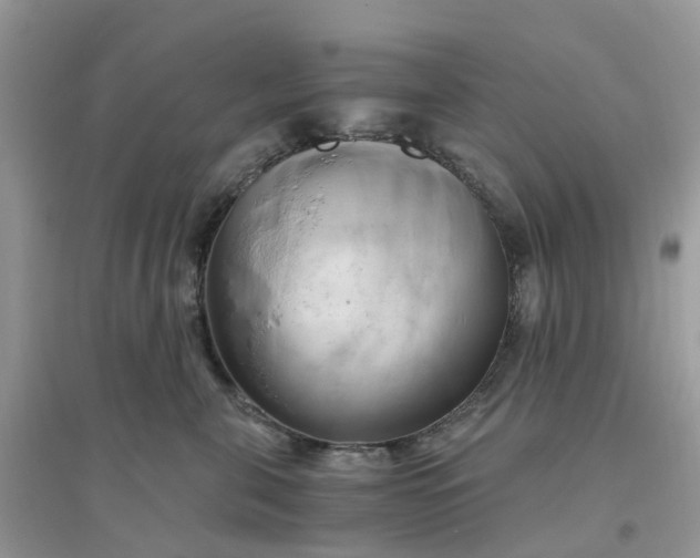 X0000096160571200802011258