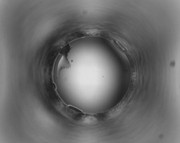 X0000096160572200802011258