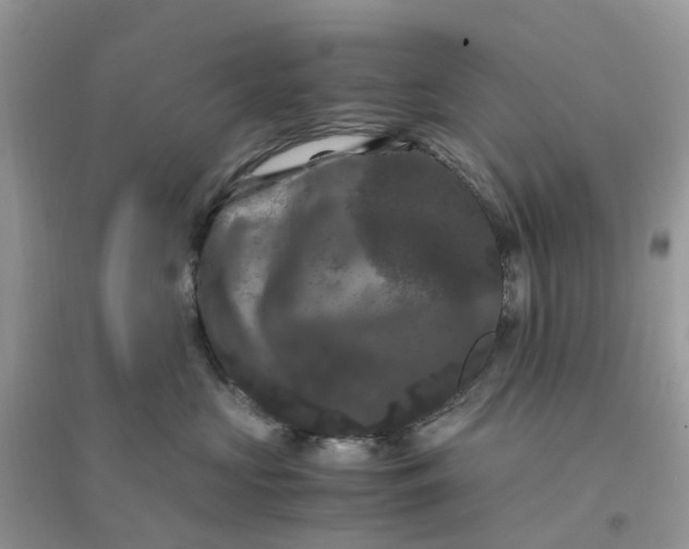 X0000096160573200802011258