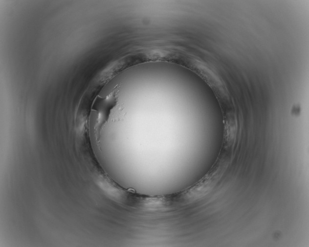 X0000096160574200802011258