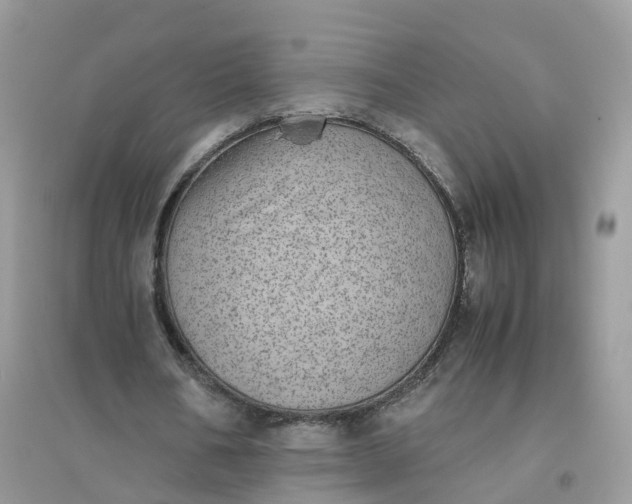 X0000096160578200802011258