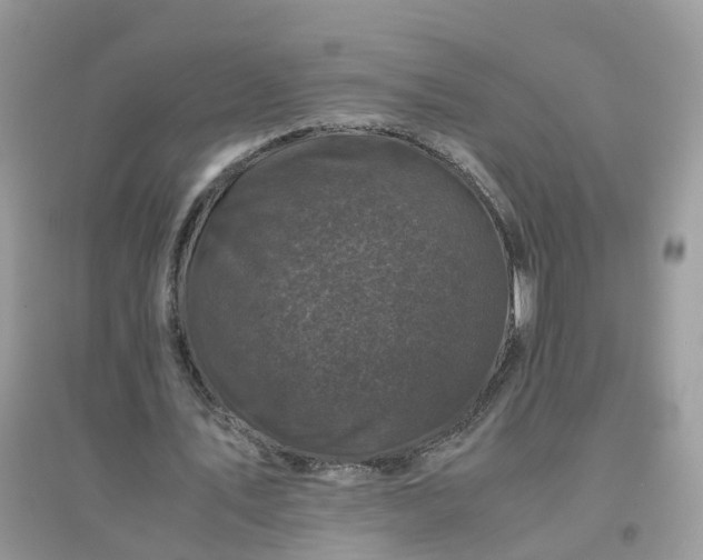 X0000096160579200802011258