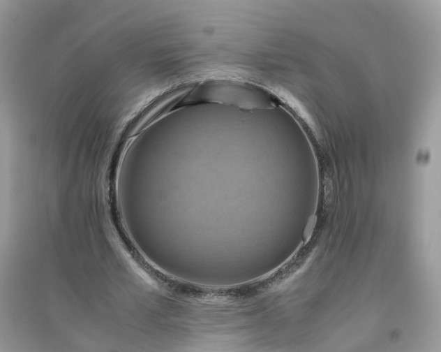 X0000096160581200802011258