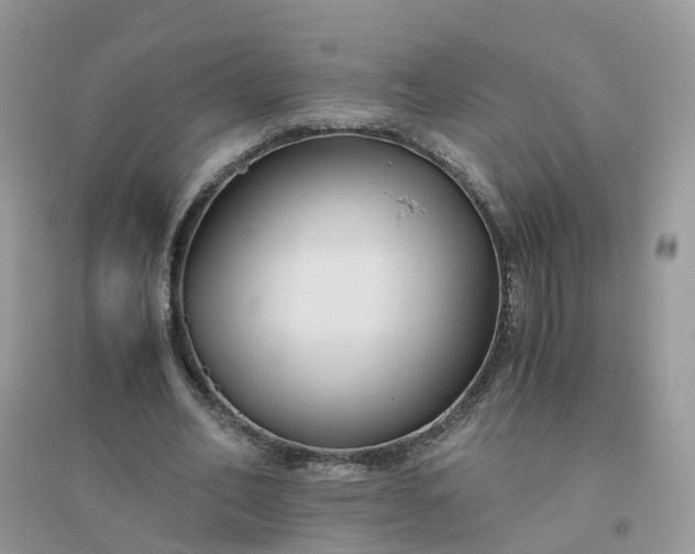 X0000096160582200802011258