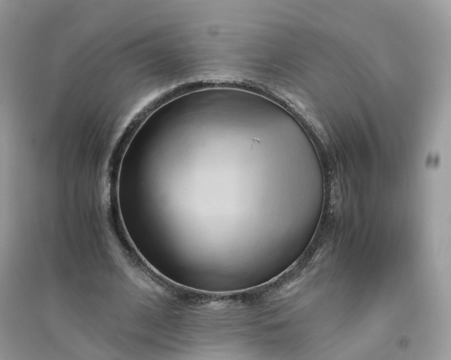 X0000096160584200802011258