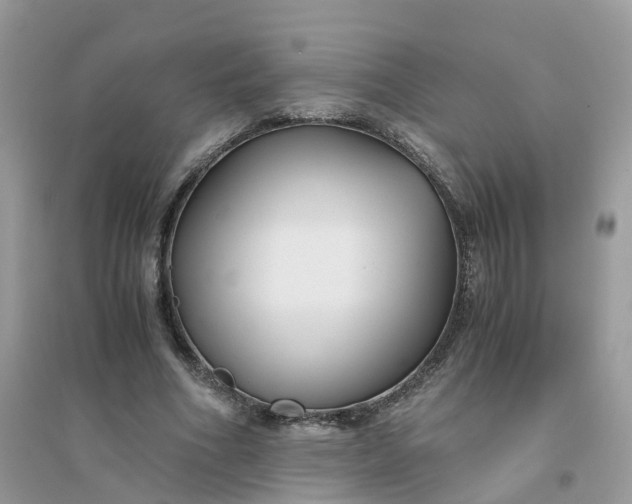 X0000096160586200802011258