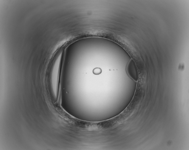 X0000096160587200802011258