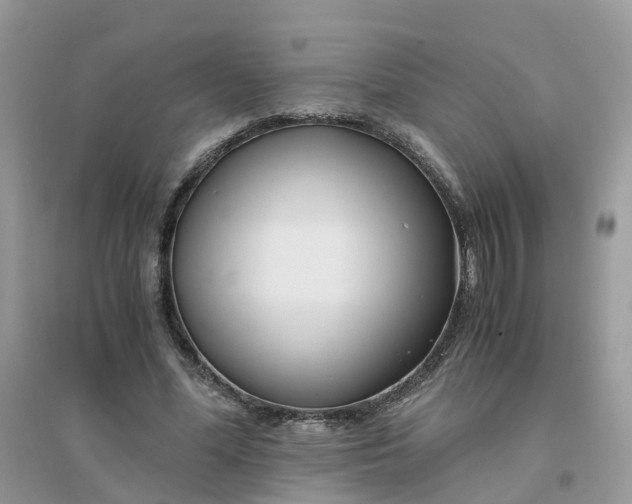 X0000096160588200802011258