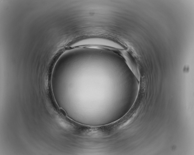 X0000096160589200802011258