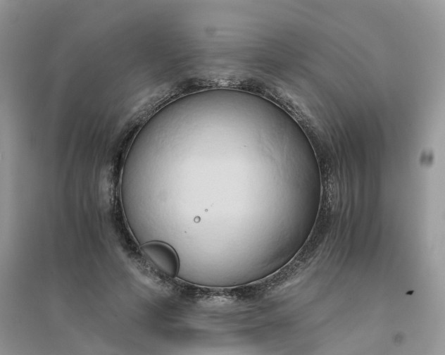 X0000096160594200802011258