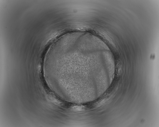 X0000096160595200802011258