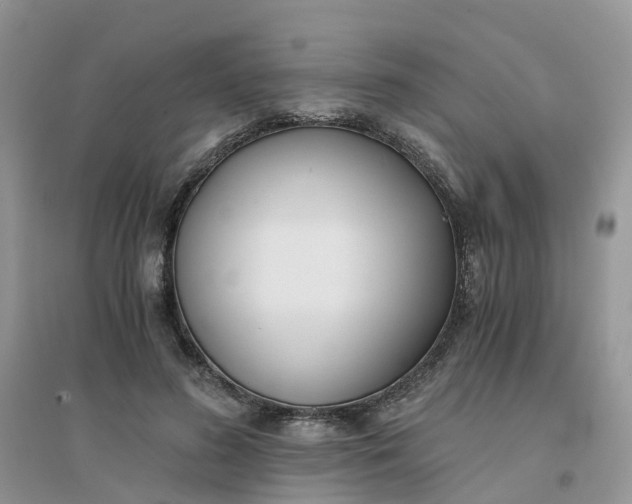 X0000096160596200802011258