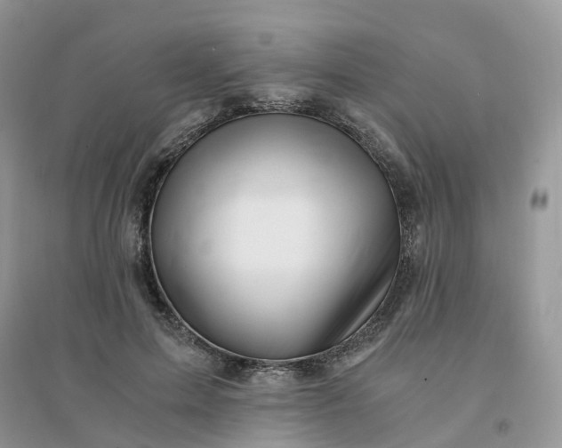 X0000096160599200802011258