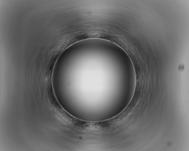 X0000096160601200802011258