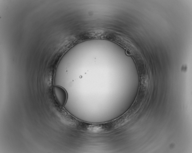 X0000096160602200802011258