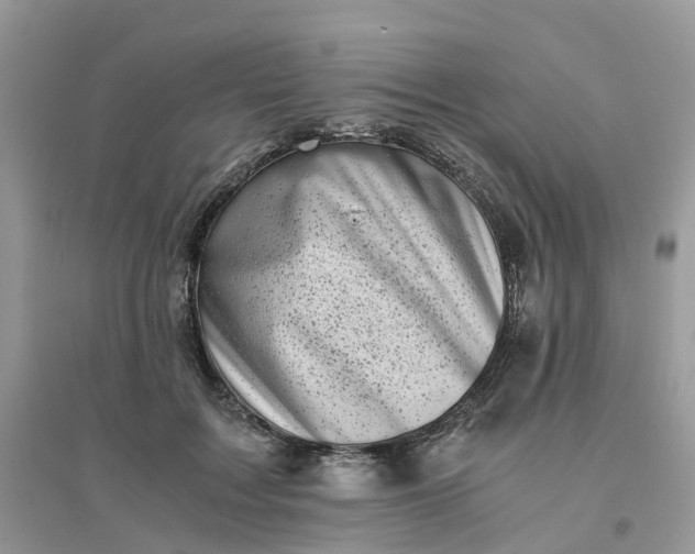 X0000096160603200802011257