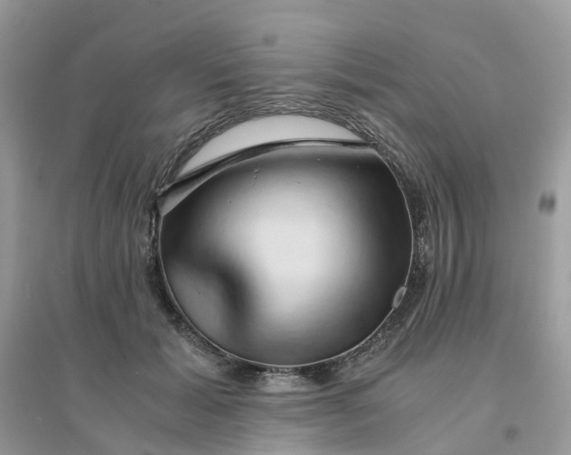 X0000096160605200802011257