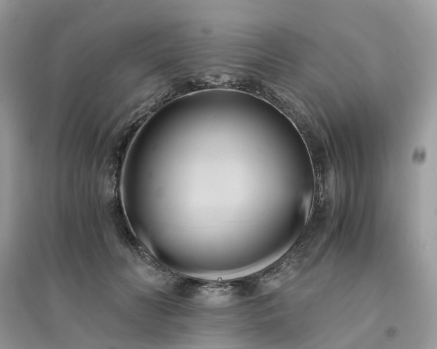 X0000096160606200802011257