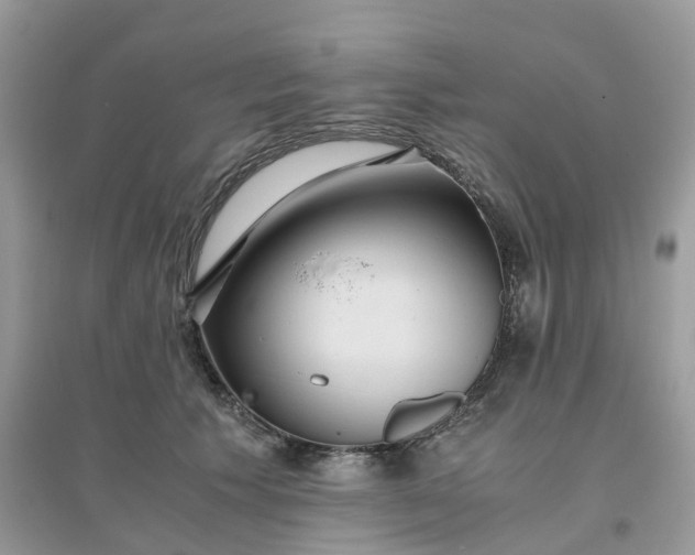 X0000096160609200802011257