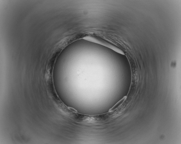 X0000096160611200802011257