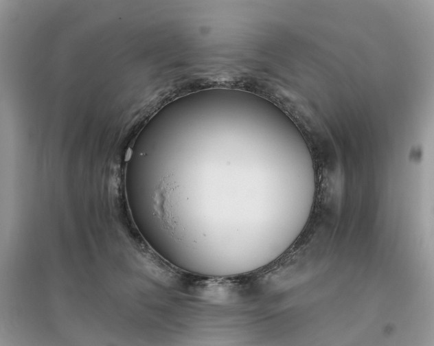 X0000096160612200802011257