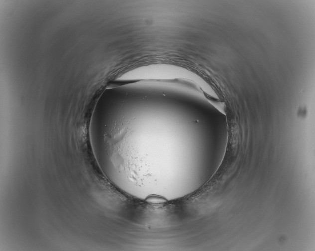 X0000096160613200802011257