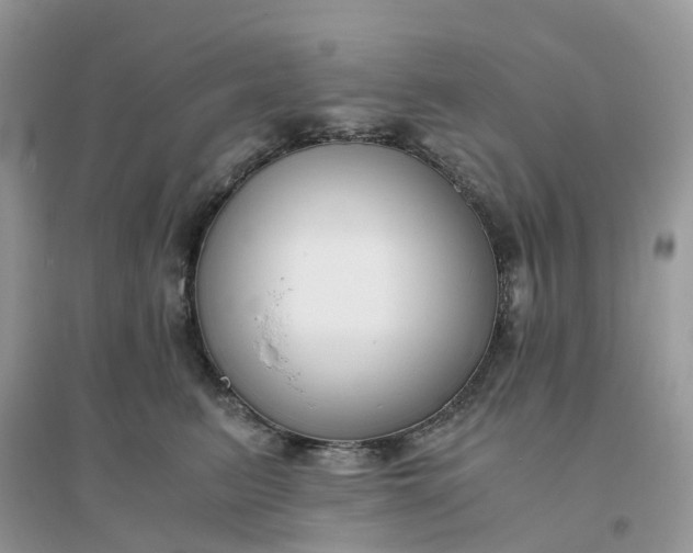 X0000096160615200802011257