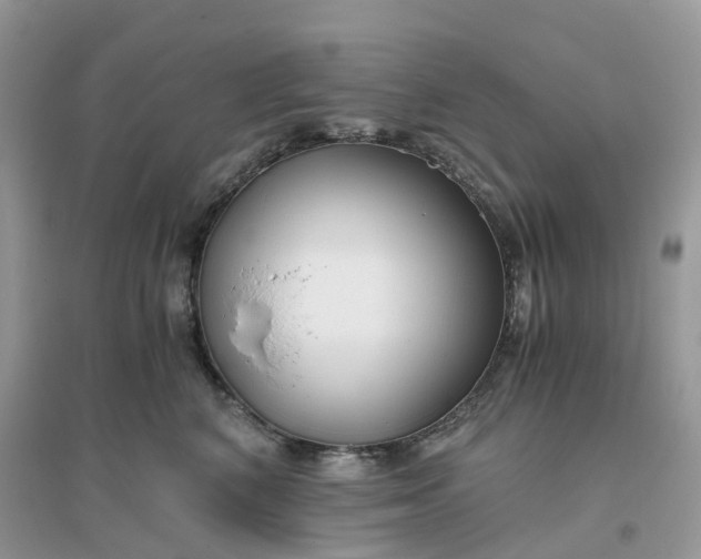 X0000096160616200802011257