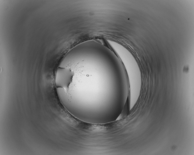 X0000096160617200802011257