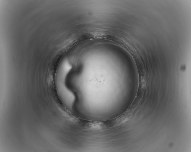 X0000096160618200802011257