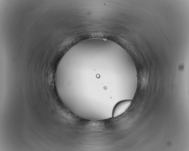 X0000096160619200802011257