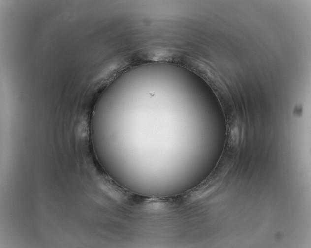 X0000096160620200802011257