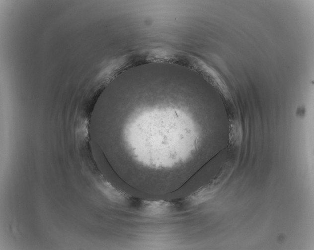 X0000096160621200802011257