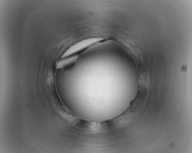 X0000096160623200802011257