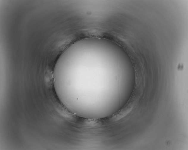 X0000096160624200802011257