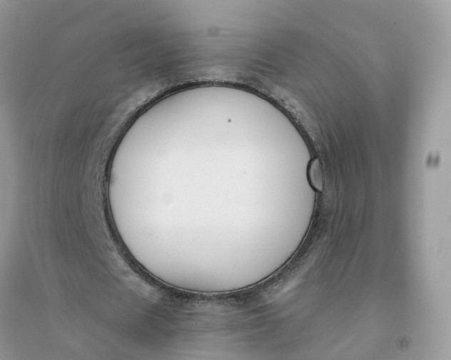 X0000096160625200802011256