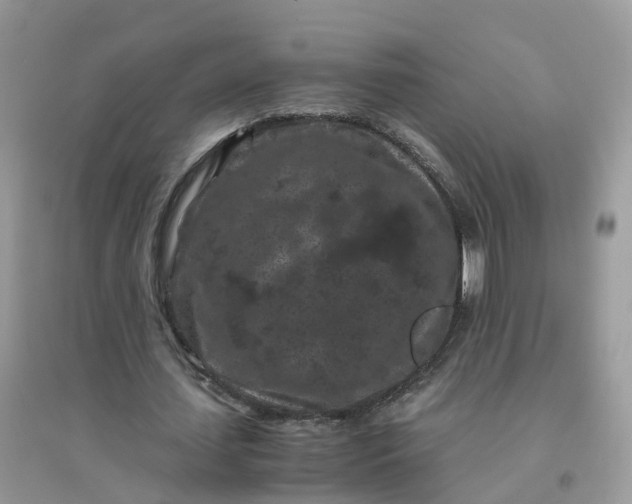 X0000096160627200802011256