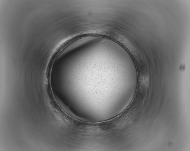 X0000096160628200802011256